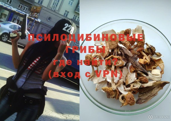 ПСИЛОЦИБИНОВЫЕ ГРИБЫ Богданович