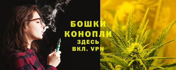 ECSTASY Покров