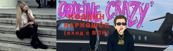 ПСИЛОЦИБИНОВЫЕ ГРИБЫ Богданович