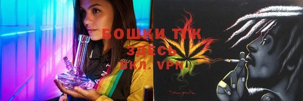 молекула духа Богородицк
