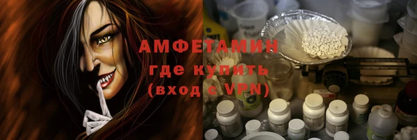 молекула духа Богородицк