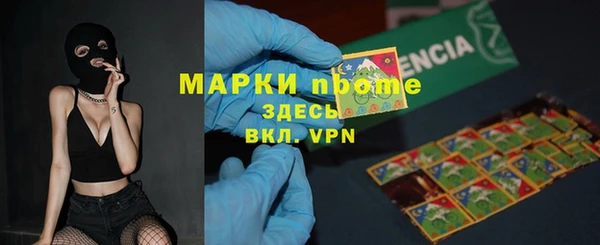 ПСИЛОЦИБИНОВЫЕ ГРИБЫ Богданович