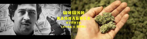 молекула духа Богородицк