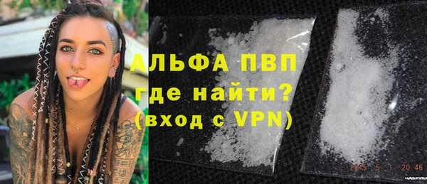 ПСИЛОЦИБИНОВЫЕ ГРИБЫ Богданович