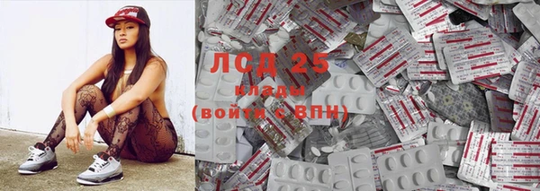 ПСИЛОЦИБИНОВЫЕ ГРИБЫ Богданович