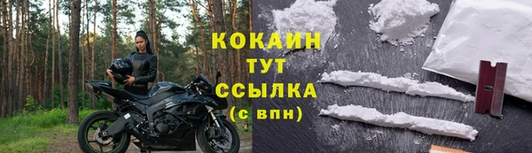молекула духа Богородицк