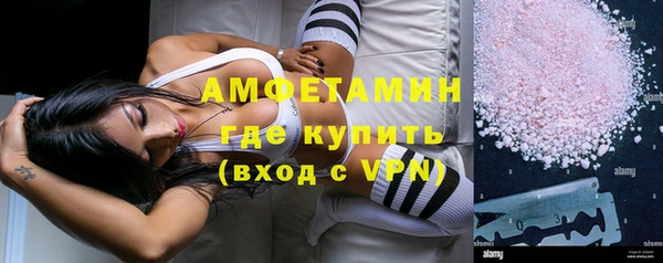 молекула духа Богородицк