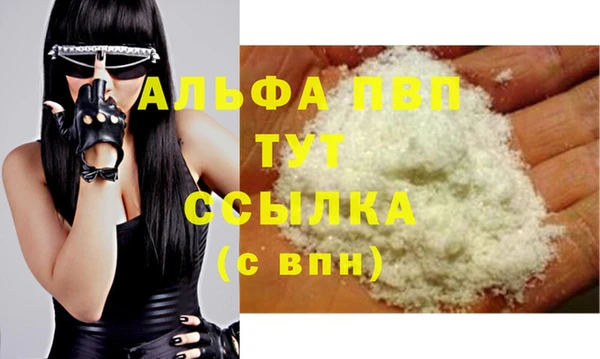 молекула духа Богородицк
