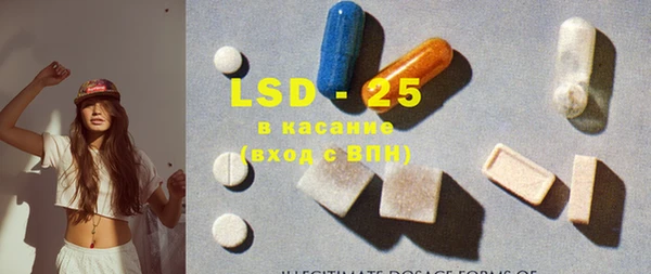 ПСИЛОЦИБИНОВЫЕ ГРИБЫ Богданович
