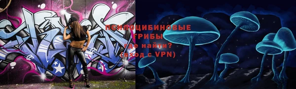 ПСИЛОЦИБИНОВЫЕ ГРИБЫ Богданович