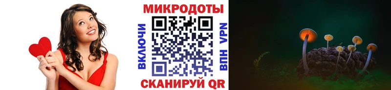 Псилоцибиновые грибы Psilocybine cubensis  Дмитровск 